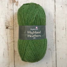 Load image into Gallery viewer, Stylecraft Highland Heather DK